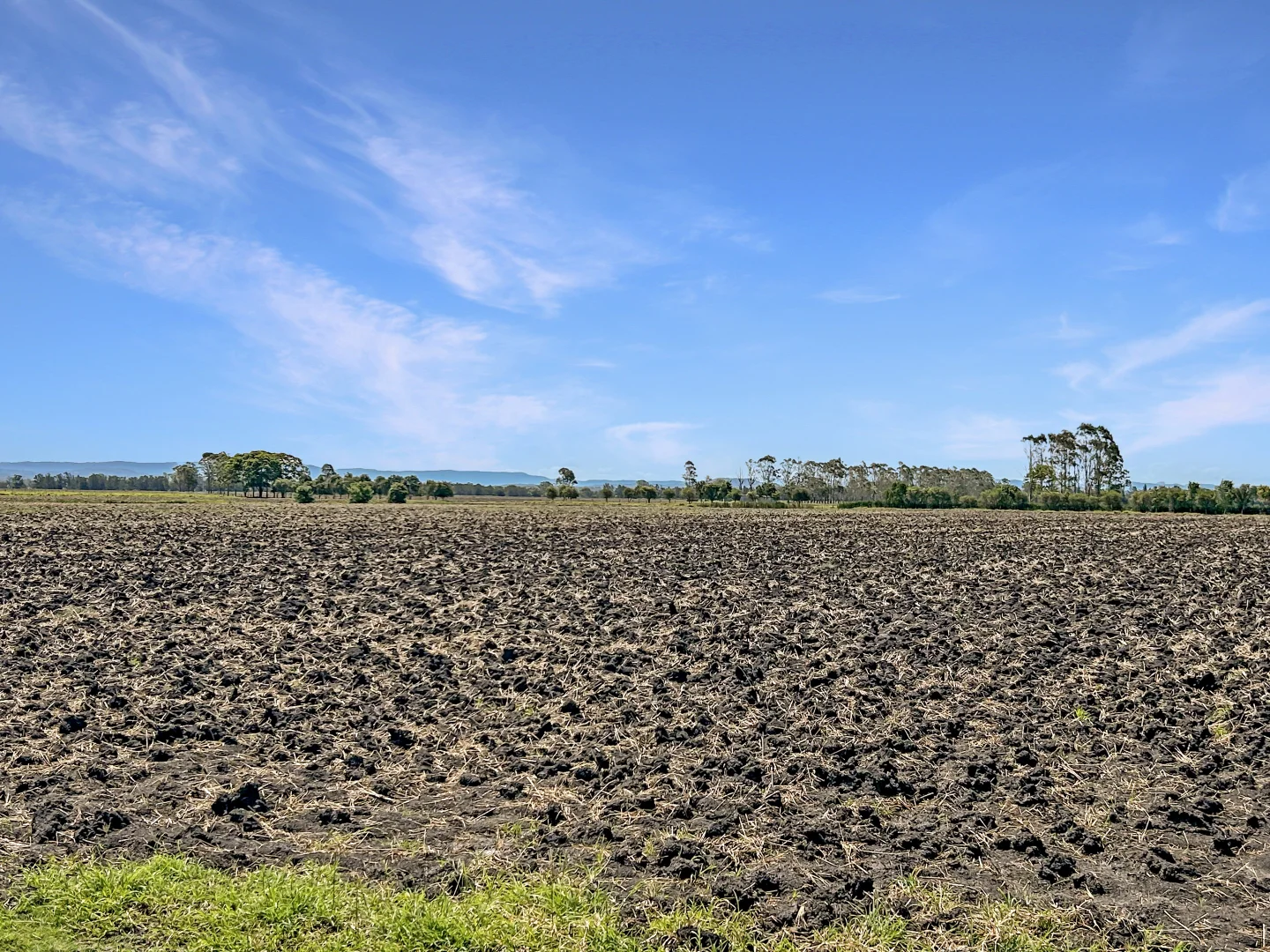 Additional image 11 of 80 Strongs Road, Fairy Hill NSW 2470