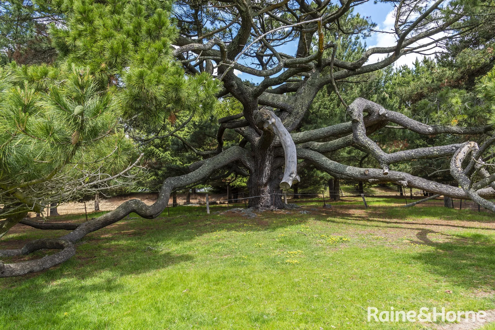 Additional image 47 of 545 Kyneton Springhill Road, Kyneton South VIC 3444