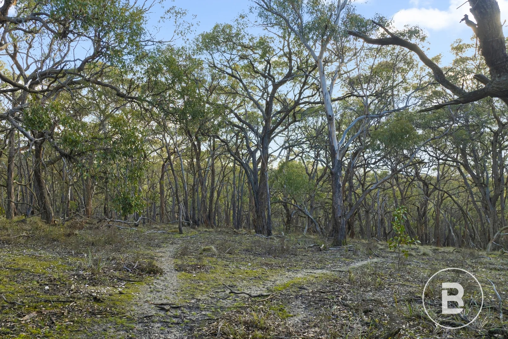 Additional image 2 of CA 42 Quilliams Road, Carngham VIC 3351