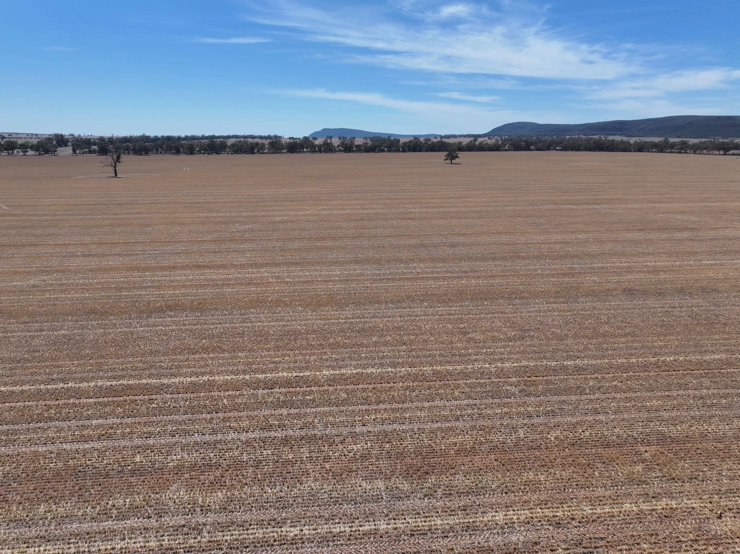 Additional image 7 of 'Nolens'  5000 Barellan Road, Colinroobie NSW 2700