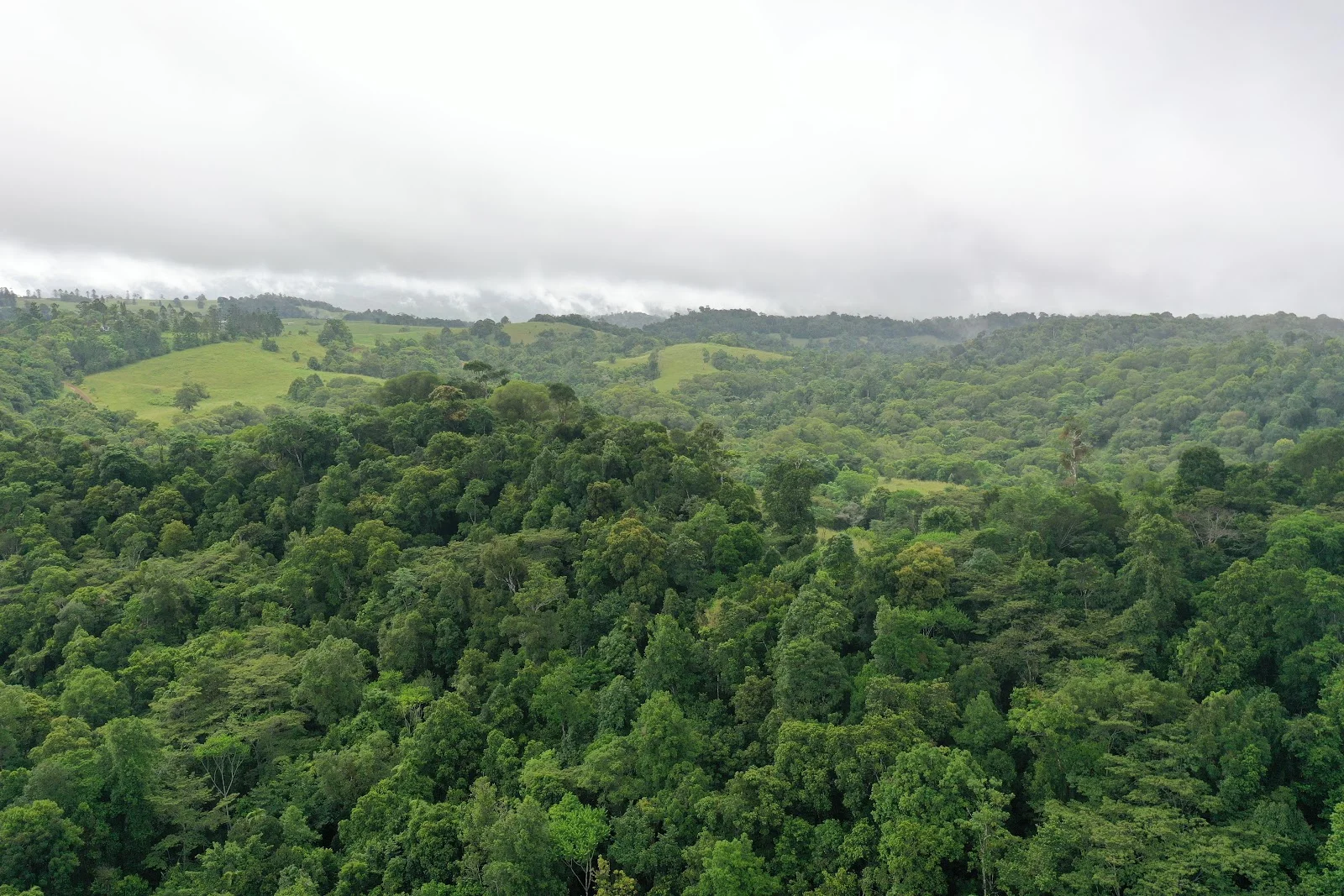 Additional image 27 of Lot 213 Kelly Road, Ellinjaa QLD 4886