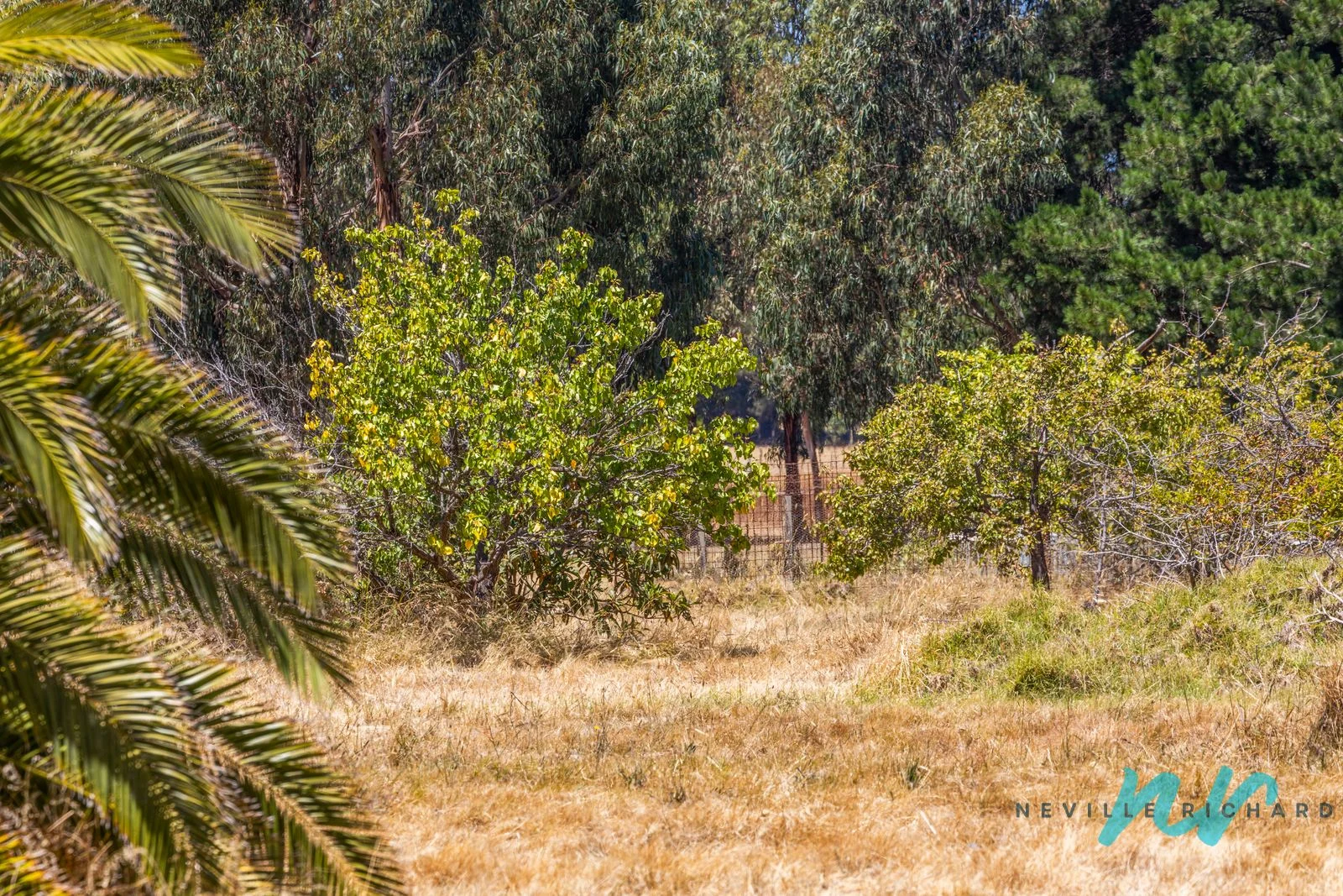 Additional image 7 of 111-119 Old St Leonards Road, St Leonards VIC 3223