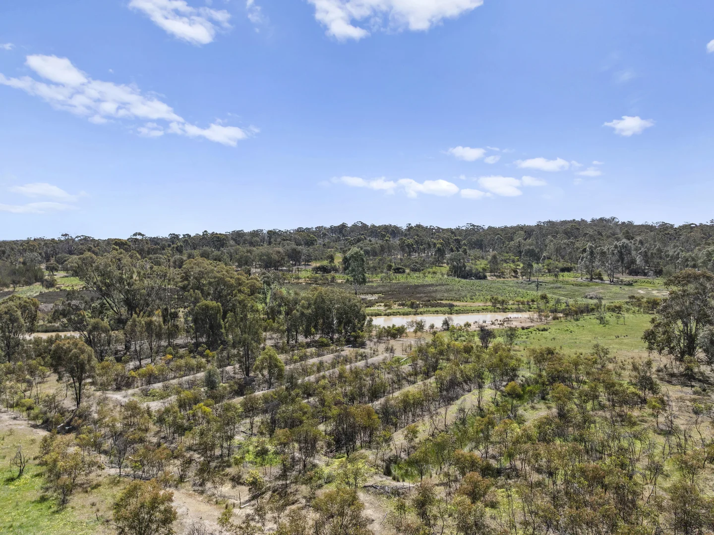 Additional image 6 of Lot 2 Gellibrand Tonks Road, Earlston VIC 3669