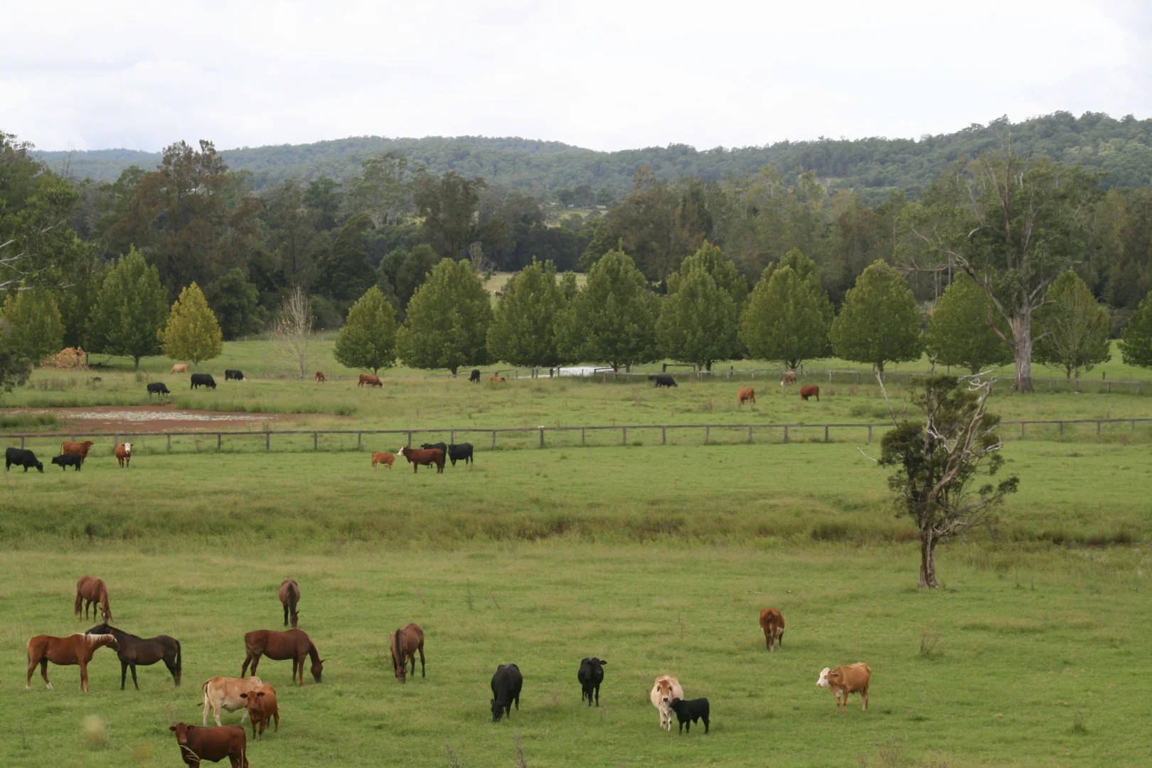 Additional image 14 of 1554 & 1598 Rollands Plains Road, Rollands Plains NSW 2441