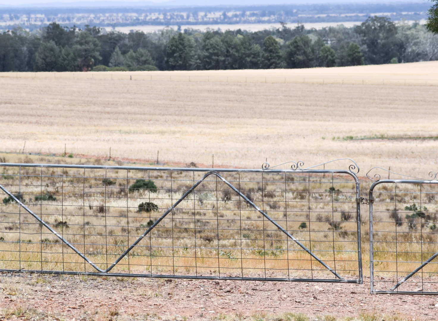 Additional image 18 of 76 Kerrs Lane, Caragabal NSW 2810