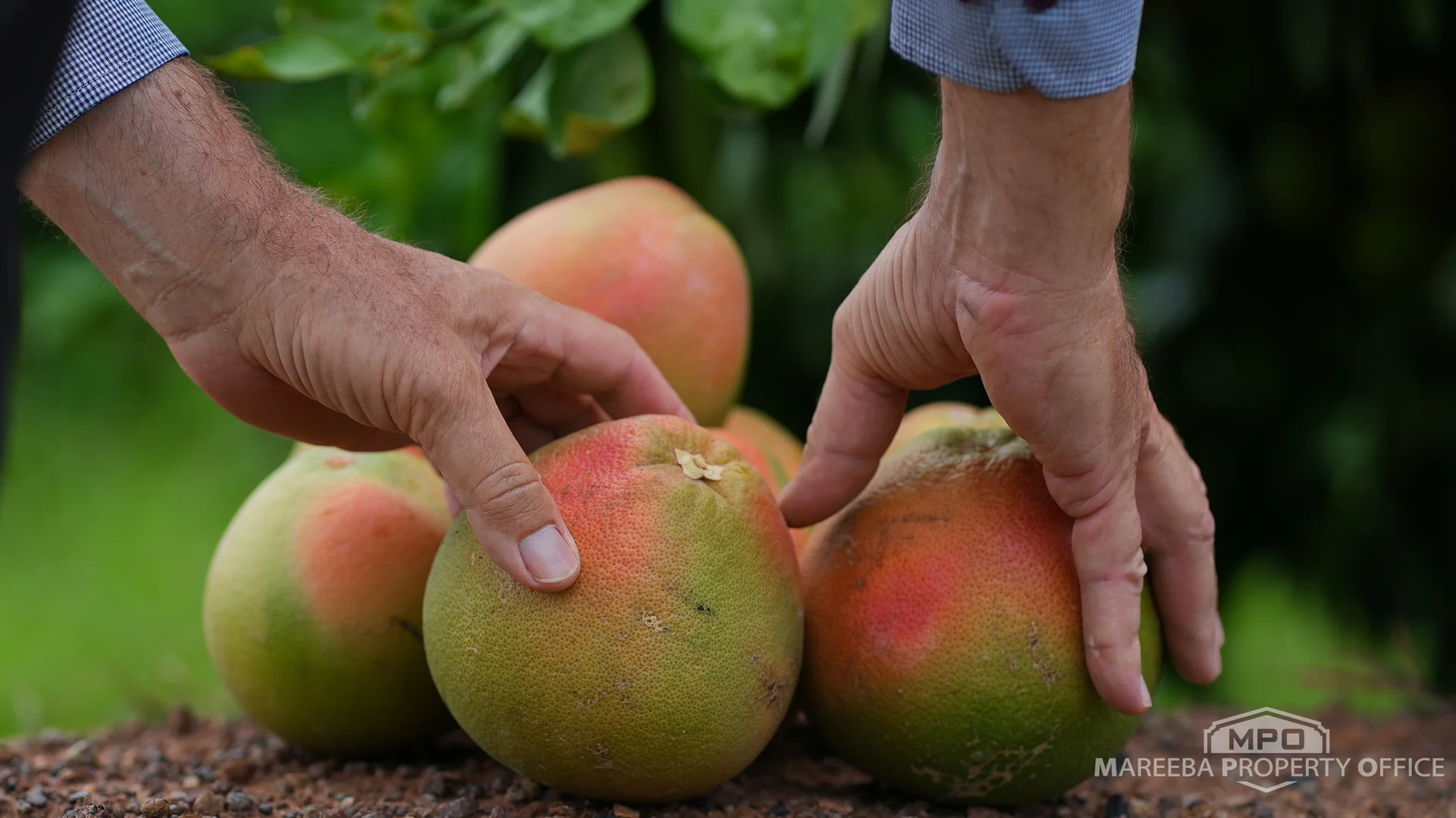 Additional image 20 of 398 Leadingham Road, Dimbulah QLD 4872