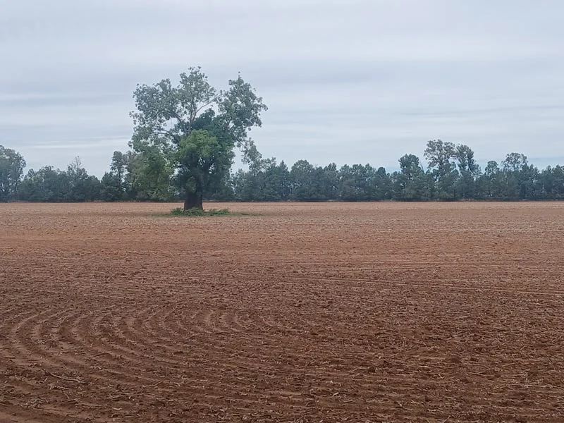 Additional image 17 of Tooraweenah NSW 2817