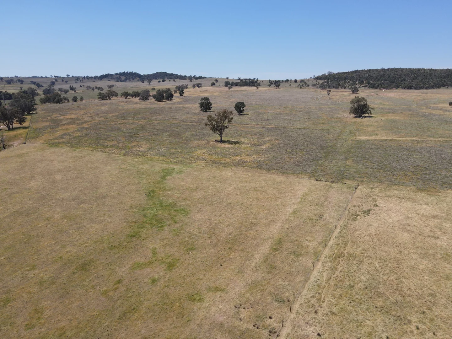 Additional image 4 of "Babynda" 829 Eulimore Road, Eugowra NSW 2806