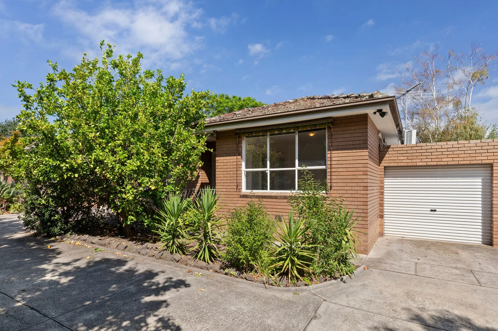 7/33 Cluden Street, Brighton East VIC 3187