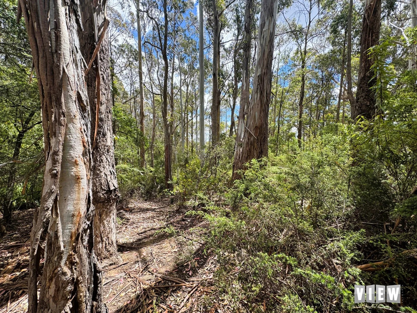 Additional image 11 of 15 Mitchells Road, St Marys TAS 7215