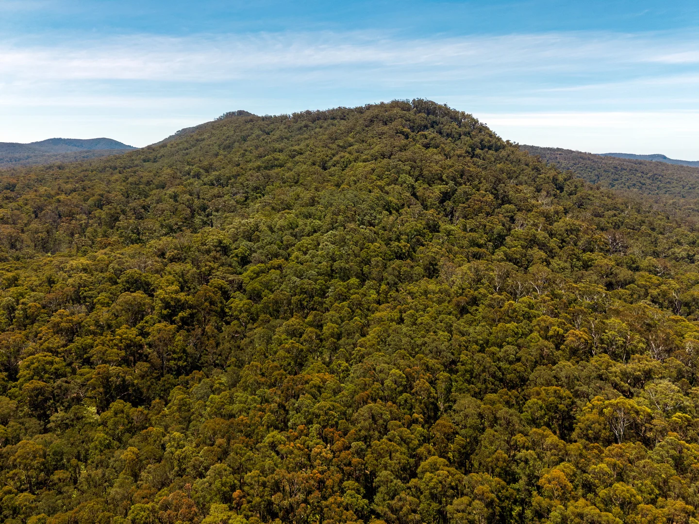 Additional image 2 of 1824 Mount Darragh Road, Wyndham NSW 2550