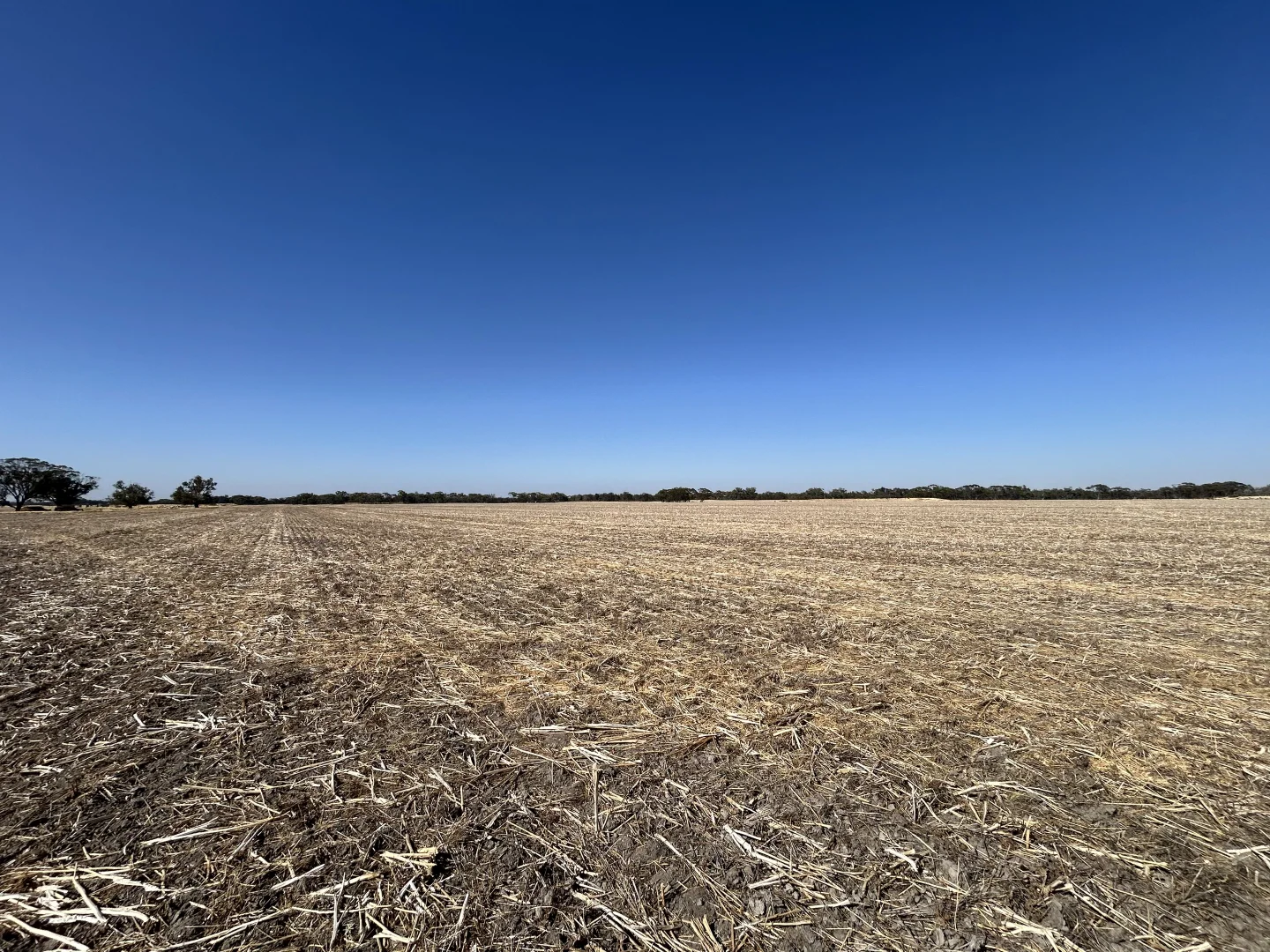 Additional image 5 of Dwarlacking Road, Bulyee WA 6306