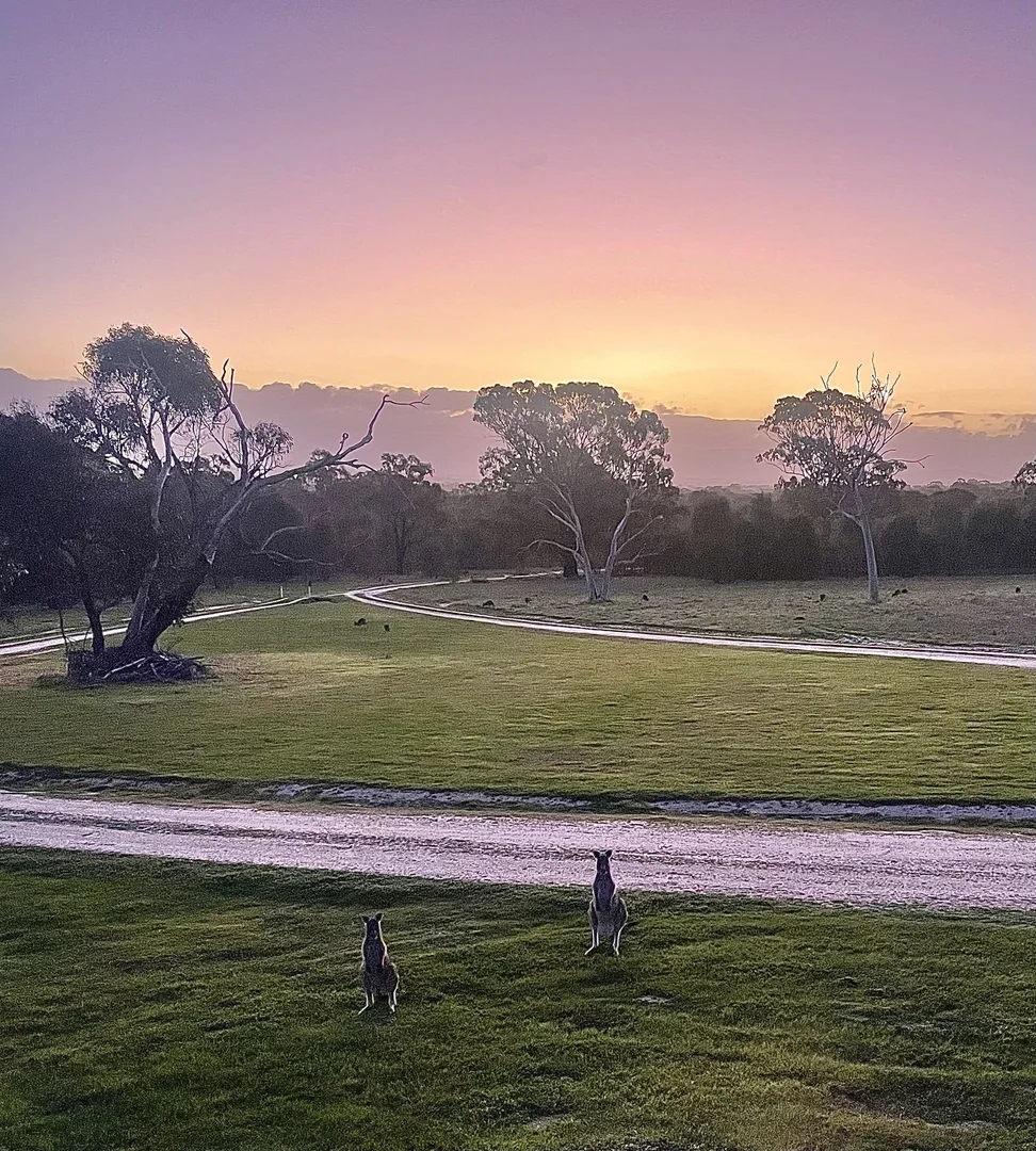 Additional image 23 of 605 Bunjils Cave Road, Black Range VIC 3381