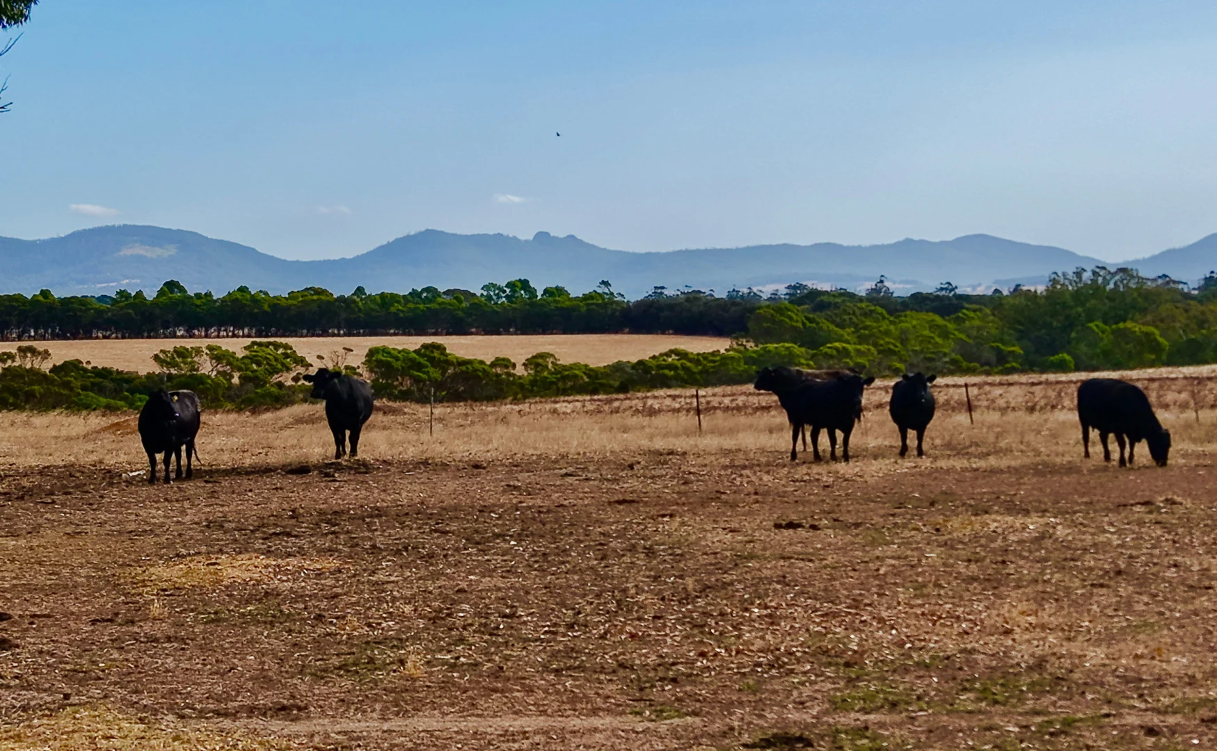 Additional image 17 of 4842 Chester Pass Road, Takalarup WA 6324