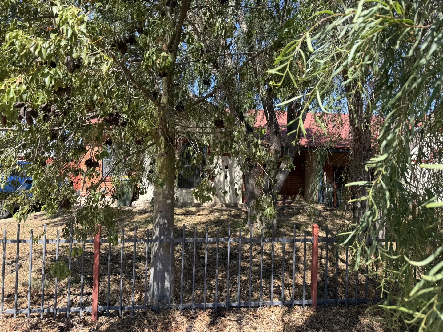 Additional image 16 of 8 Robinson St, Risdon Park SA 5540