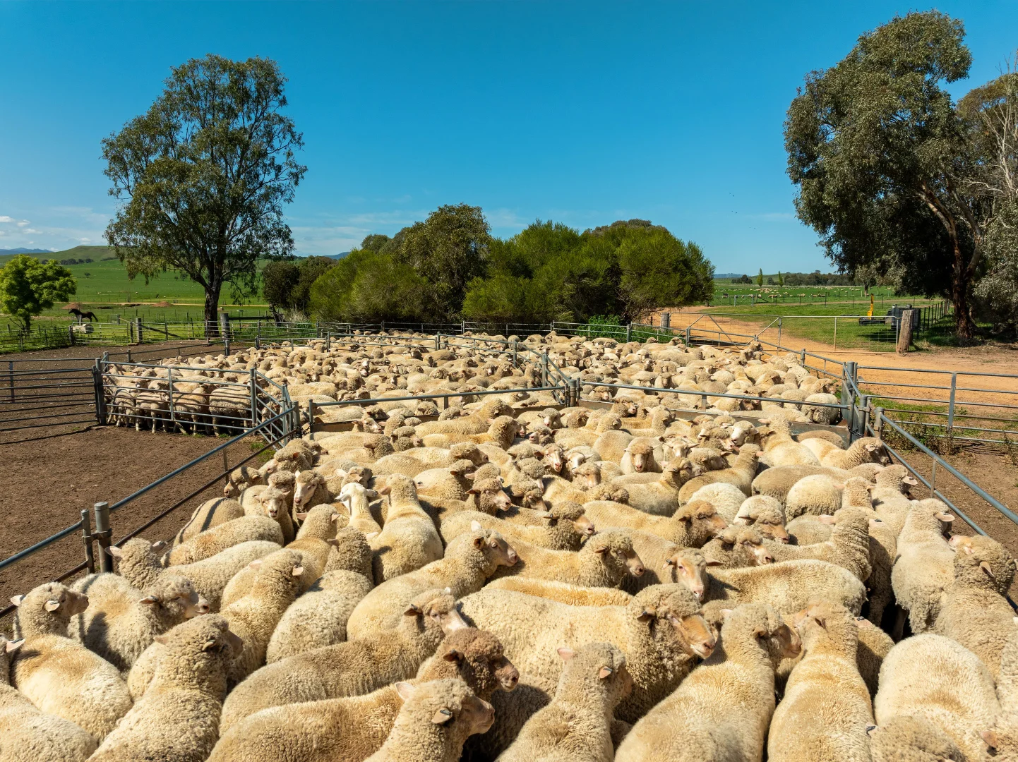 Additional image 25 of 95 Stoneys Road, Mansfield VIC 3722