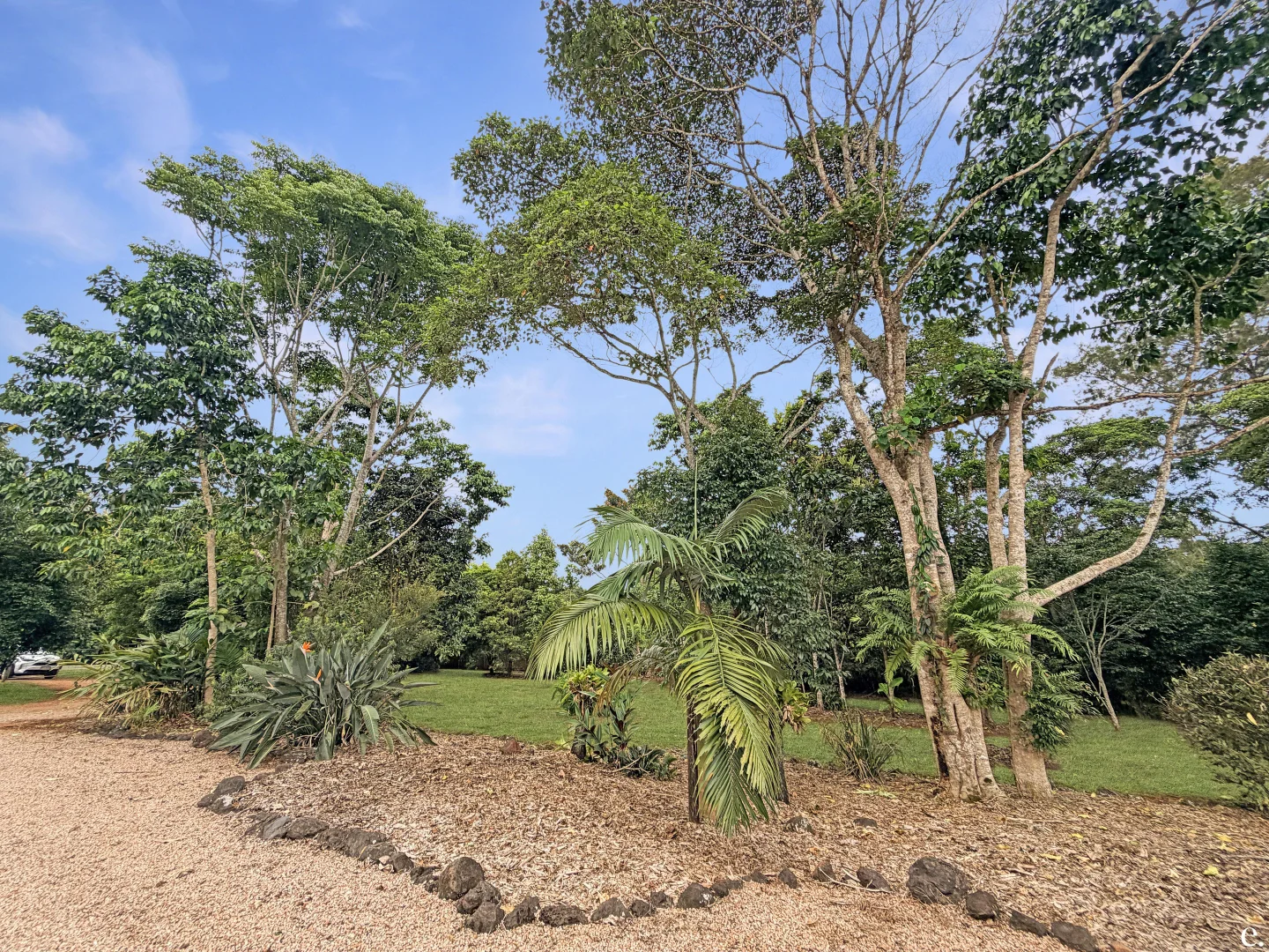 Additional image 20 of 6 Cassowary Close, Lake Eacham QLD 4884