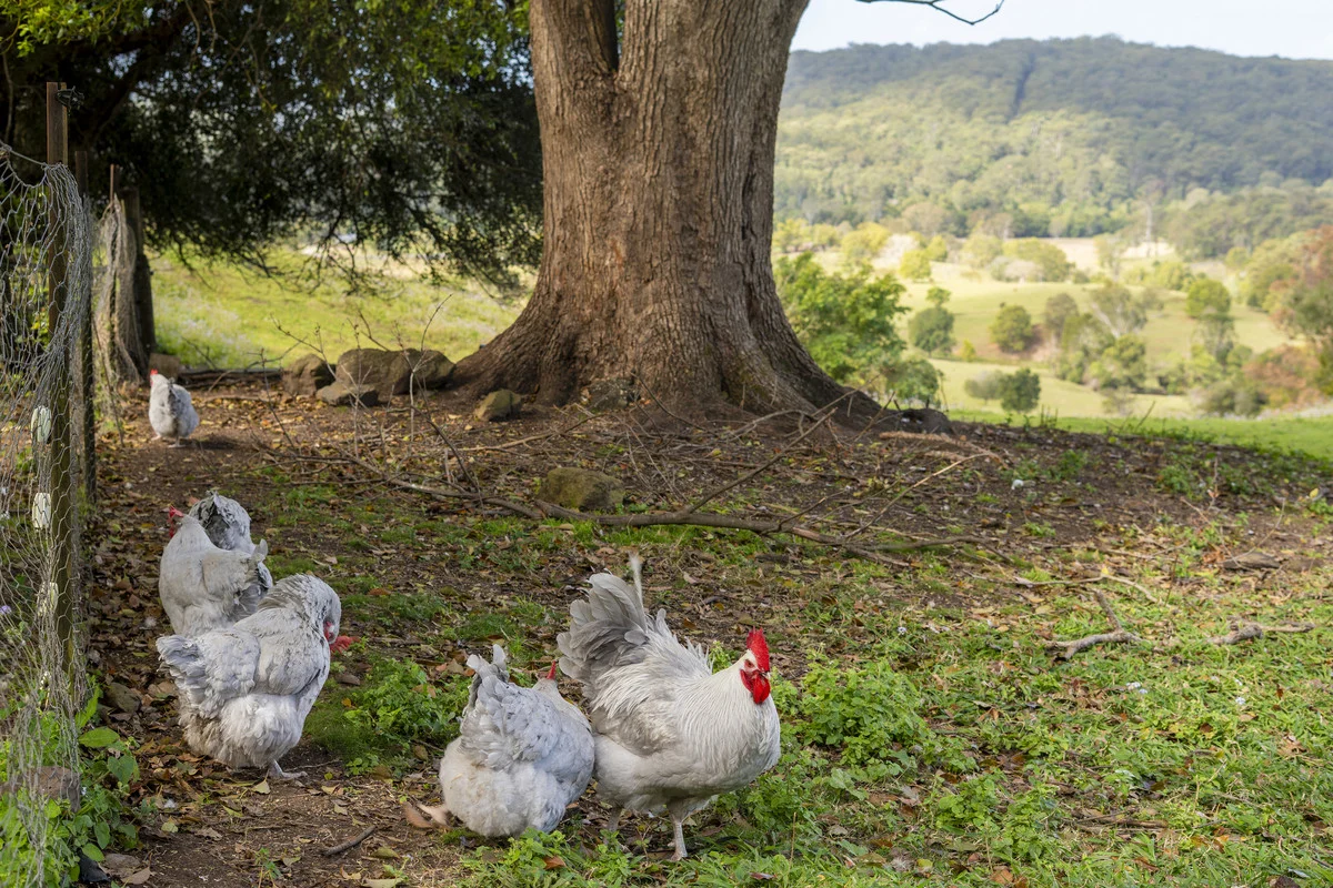 Additional image 2 of 138 Atkinson Road, Kiamba QLD 4560