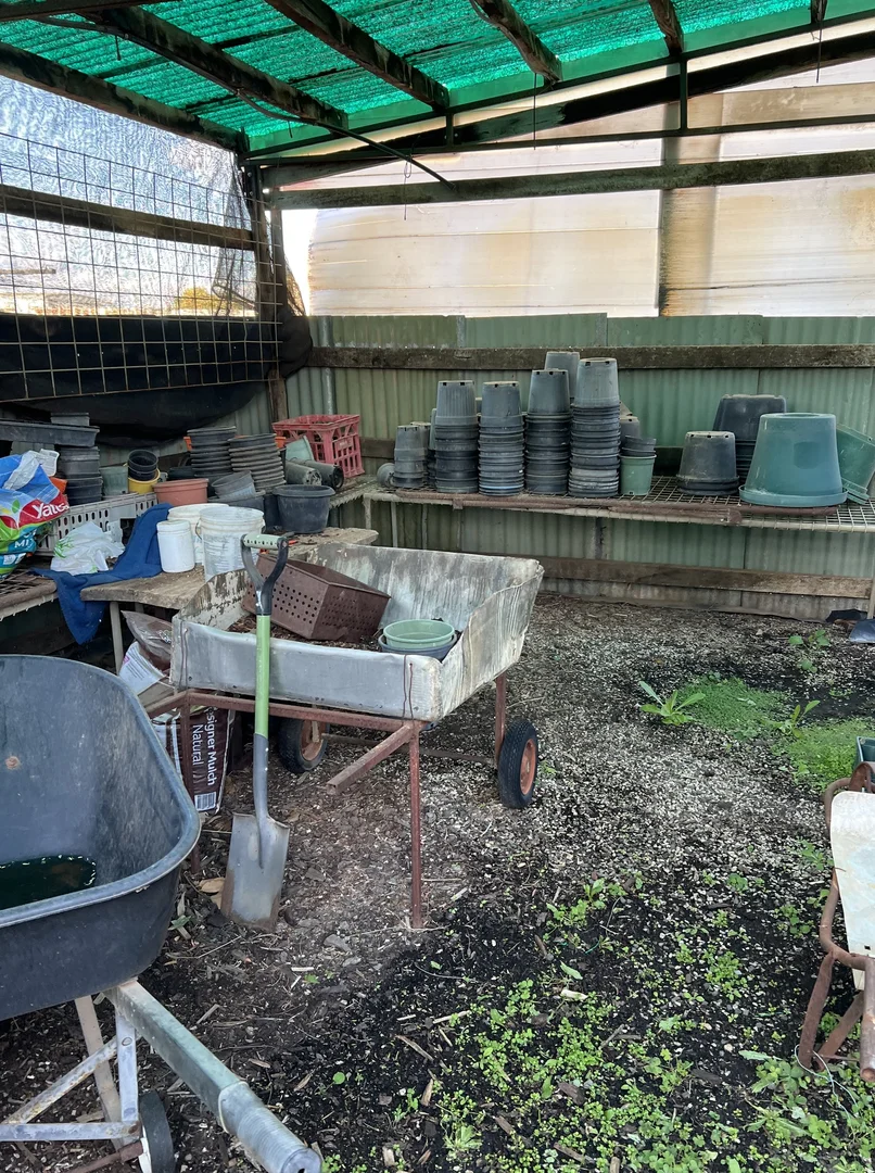 Additional image 16 of 195 Dowling Street West, Balranald NSW 2715