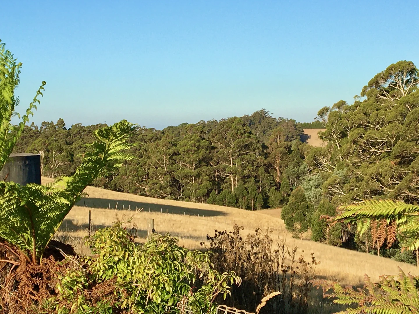 Additional image 13 of 470 Allison Rd, North Motton TAS 7315