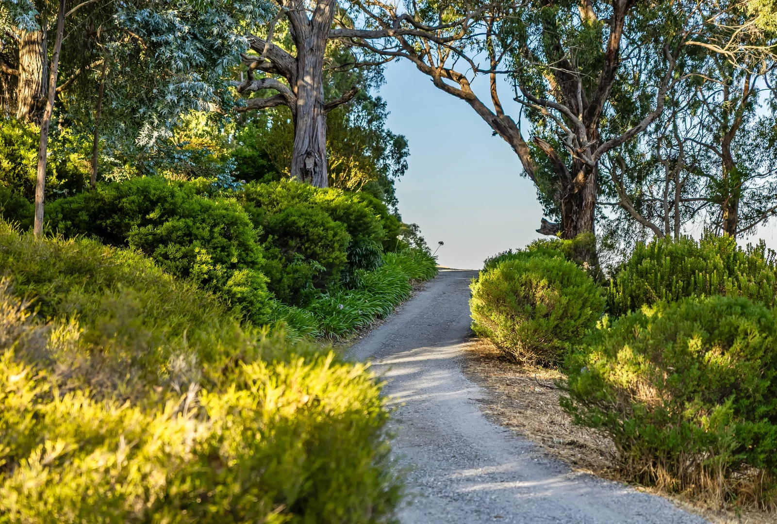 Additional image 30 of 57 Tanahmerah Road, Balhannah SA 5242