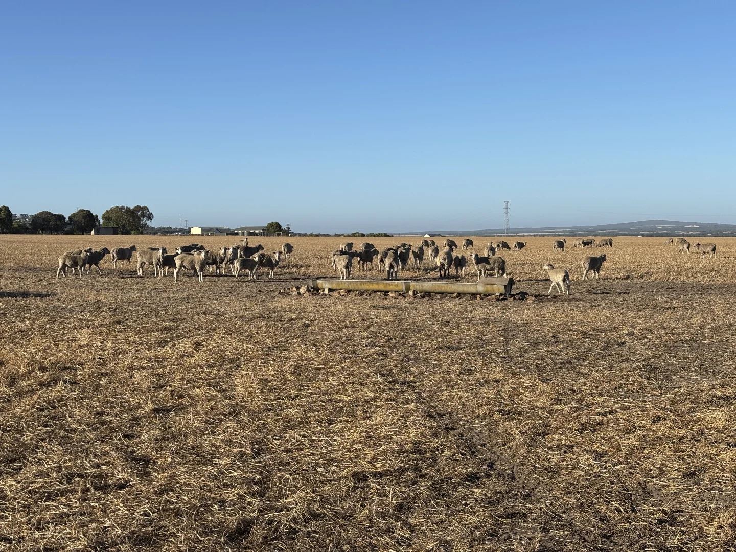 Additional image 22 of 7 Hidden Valley Lane, Boston SA 5607