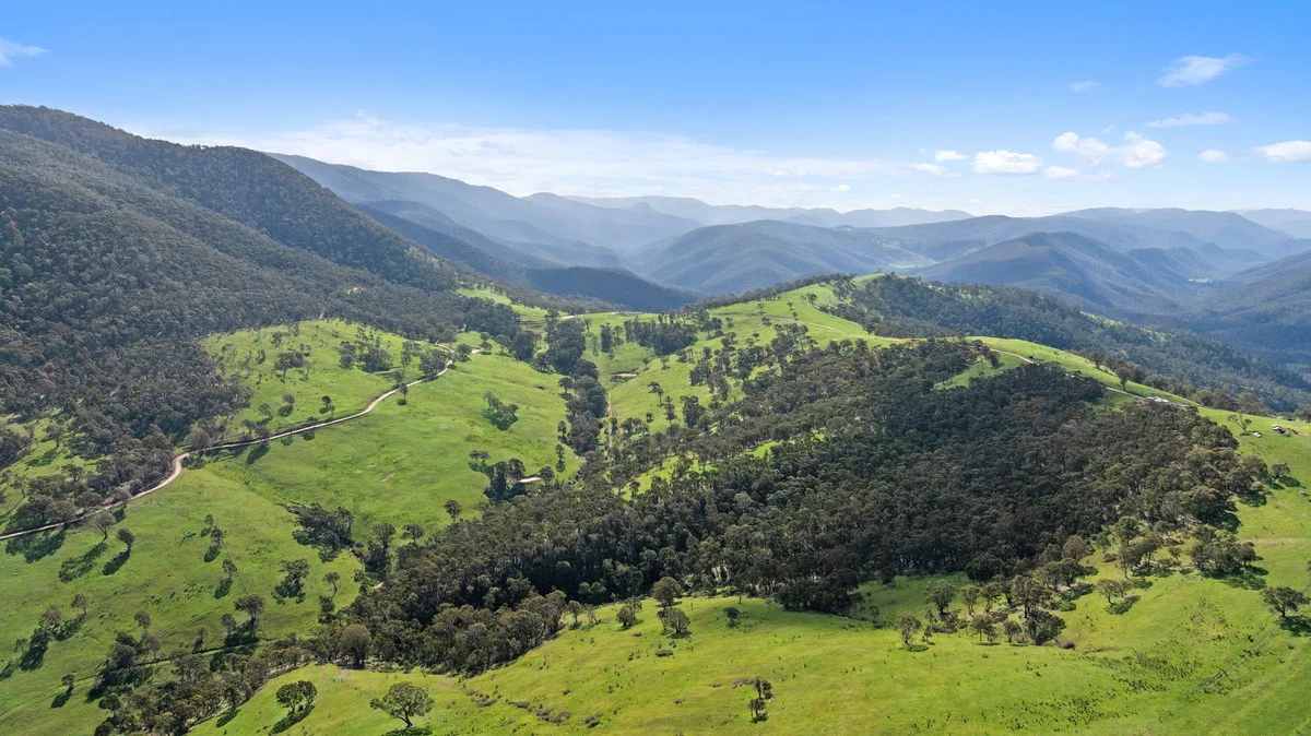 Additional image 14 of 914 Target Creek Road, Licola VIC 3858