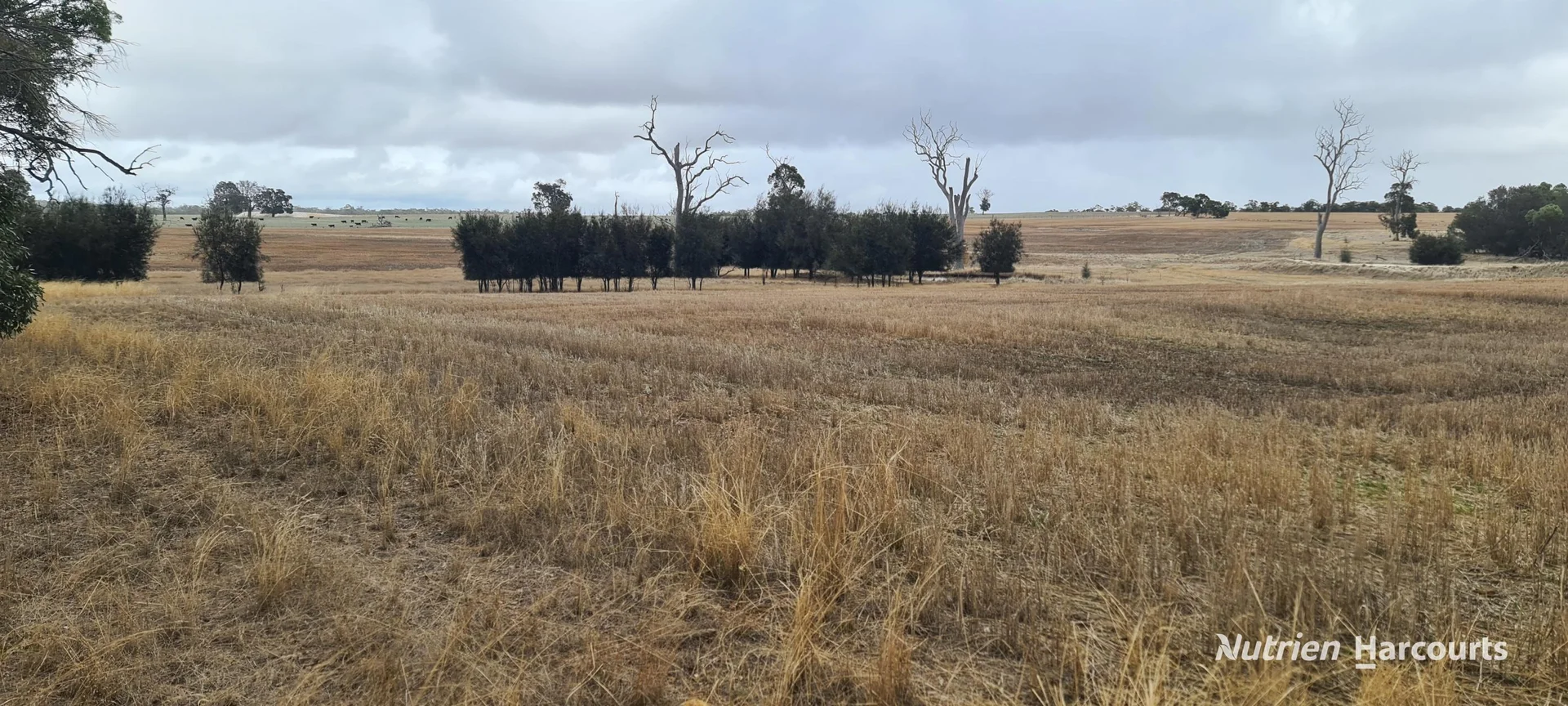 Additional image 17 of Lot 347 Yarralena Road, Cranbrook WA 6321