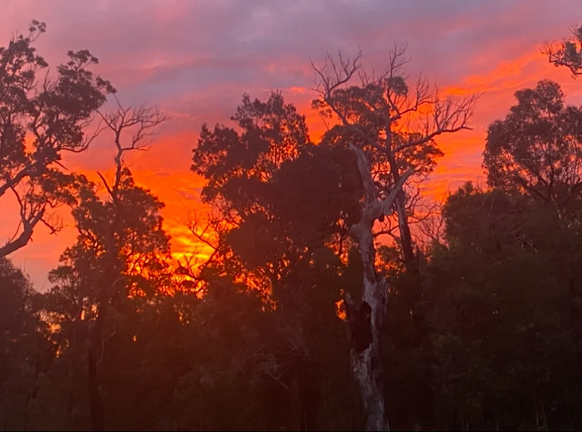 Additional image 27 of 3 Sylvia Court, Mallacoota VIC 3892