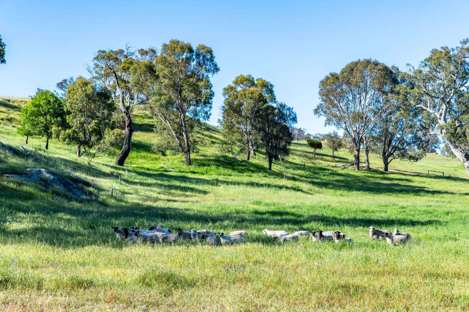 Additional image 31 of 312 Collins Road, Tungkillo SA 5236