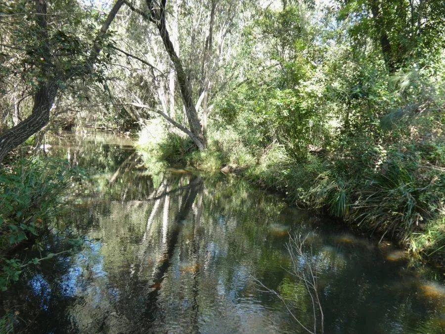 Additional image 22 of 1097 Blackman Gap Road, Colosseum QLD 4677