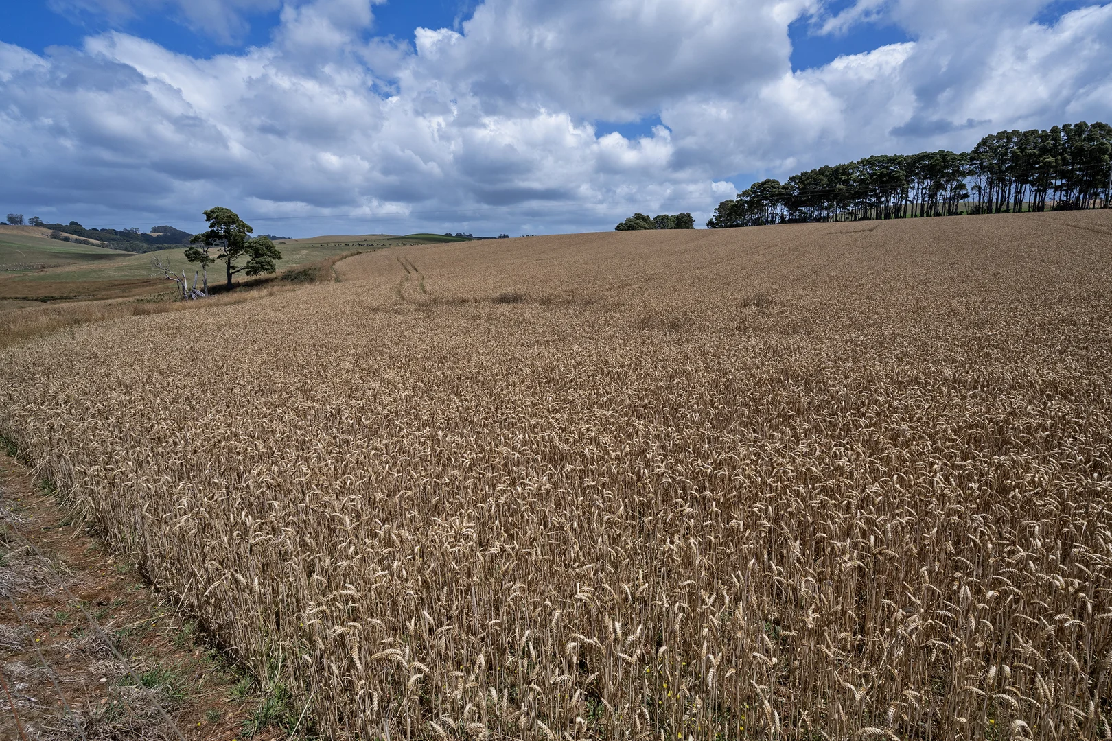 Additional image 12 of 86 Rothwells Road, Sisters Creek TAS 7325