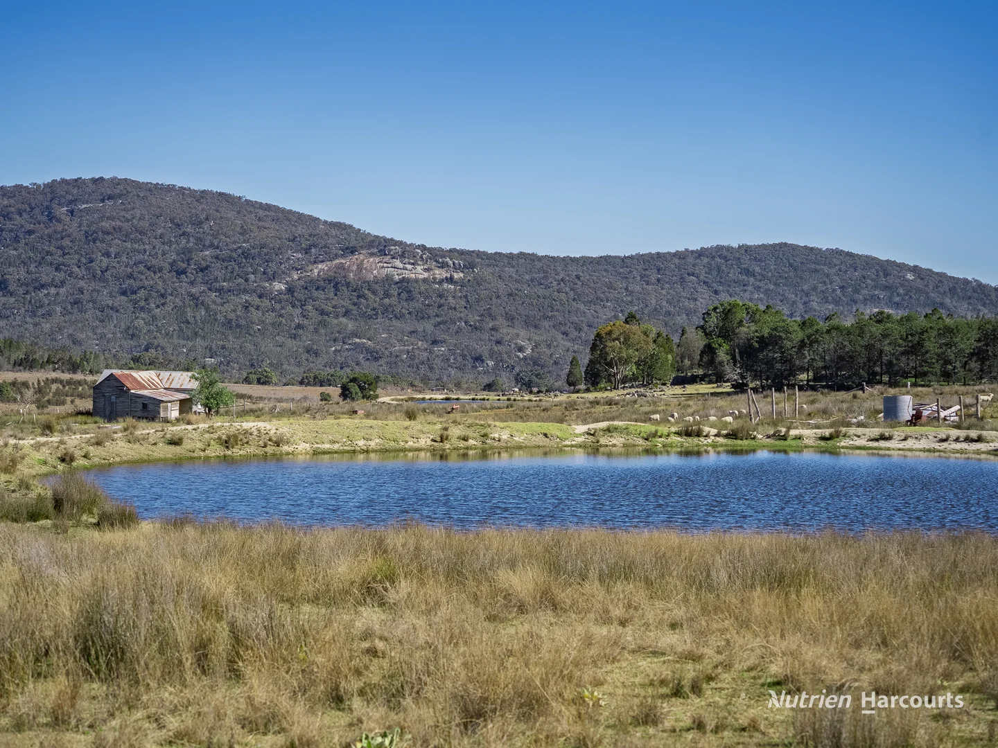 Additional image 7 of 206 - 208 Rocky Glen Road, Kingstown NSW 2358