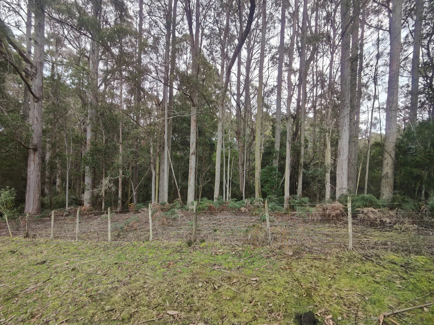 Additional image 12 of 0 Studderds Road, Moorleah TAS 7325