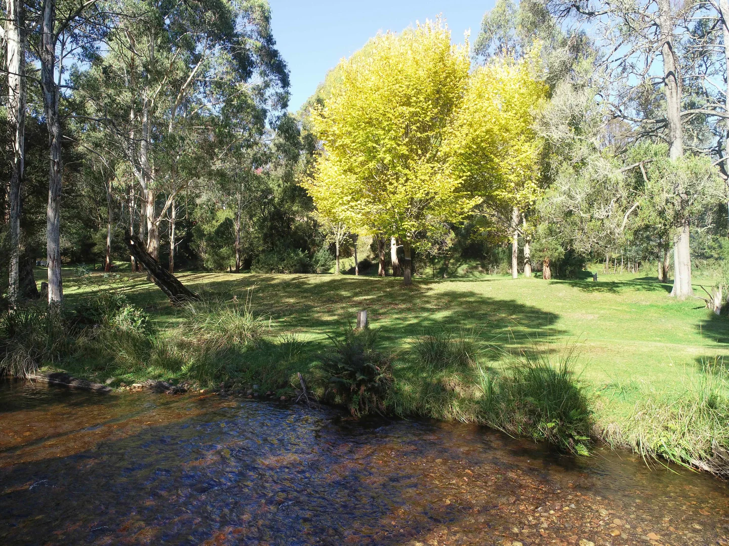 Additional image 17 of 2633 Mt Buller Road, Merrijig VIC 3723