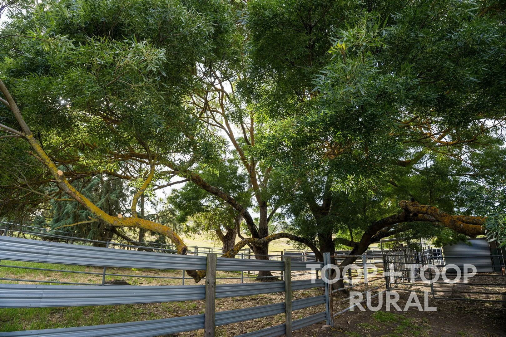 Additional image 30 of 70 Scottsburn Road, Woodside SA 5244