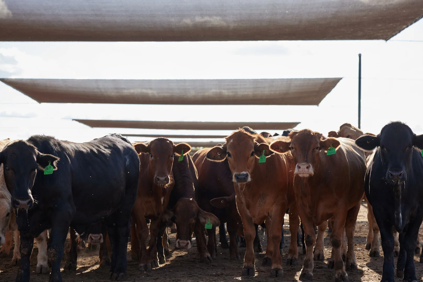 Additional image 9 of 91 Mort Street, Toowoomba City QLD 4350