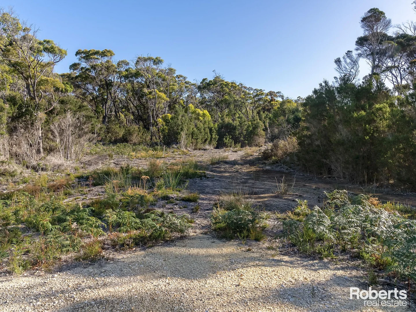 Additional image 19 of Fernlack Road, Greens Beach TAS 7270
