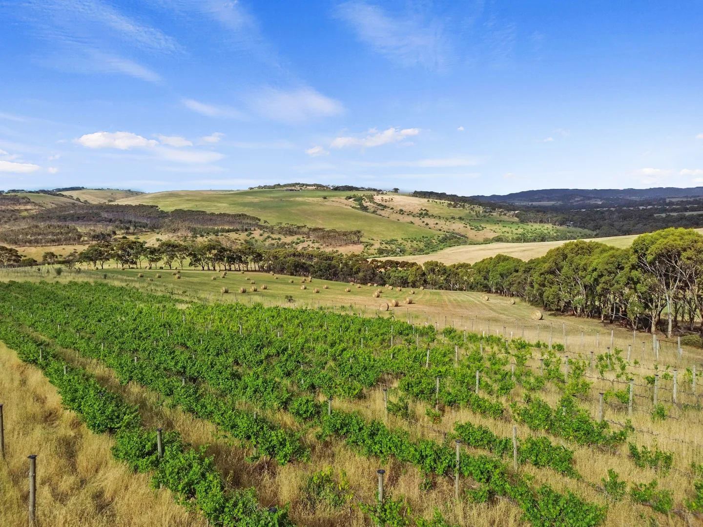 Additional image 34 of 93 Willson Drive, Yankalilla SA 5203