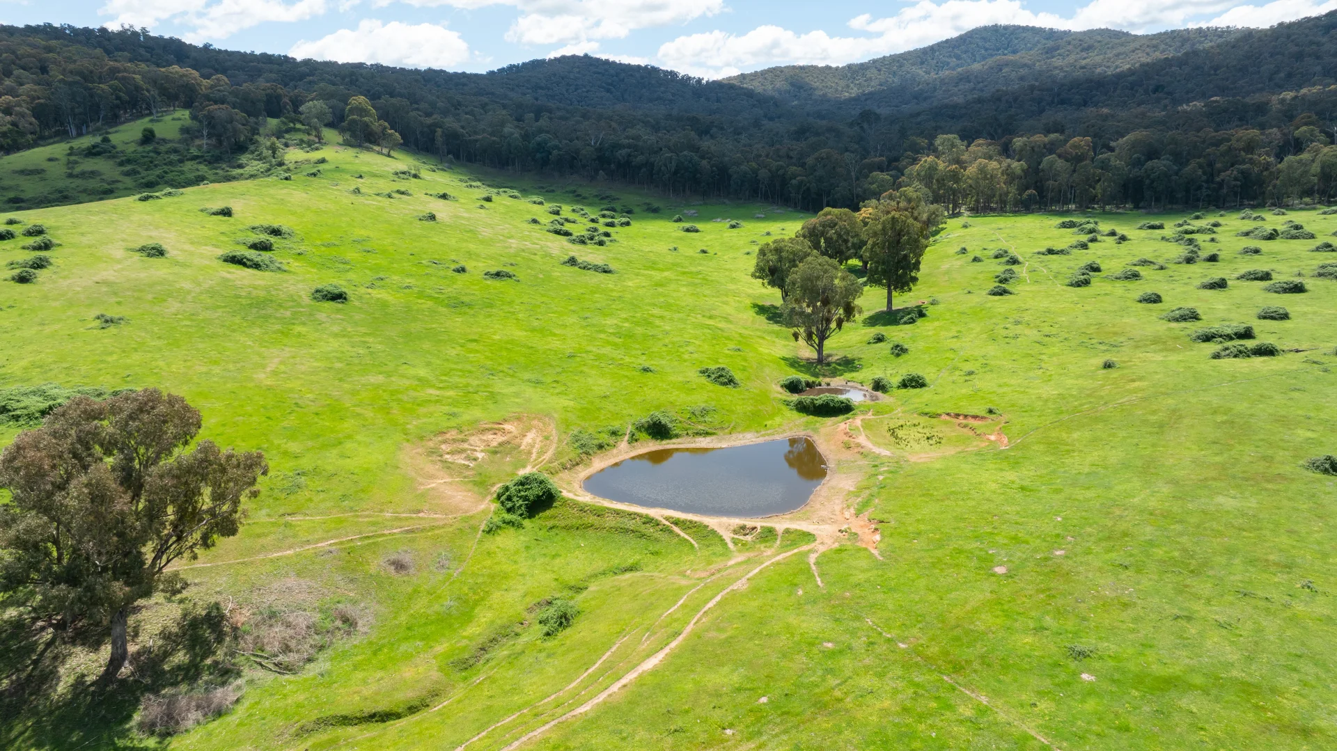 Additional image 7 of 'Grassmere'/2485 Tallangatta Creek Rd, Tallangatta Valley VIC 3701