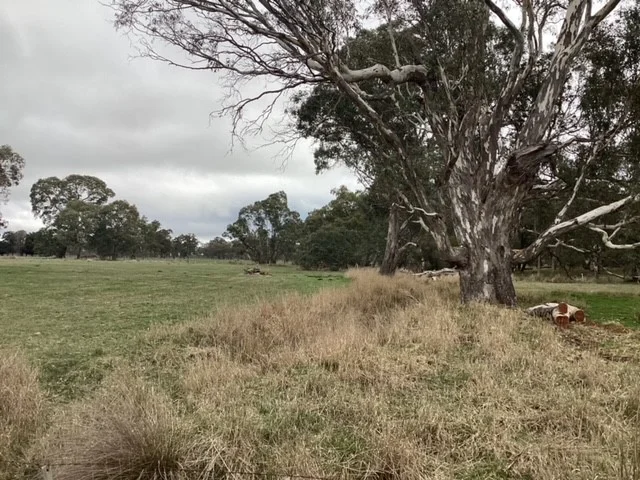 Additional image 13 of 1233 Waubra-Talbot Road, Evansford VIC 3371