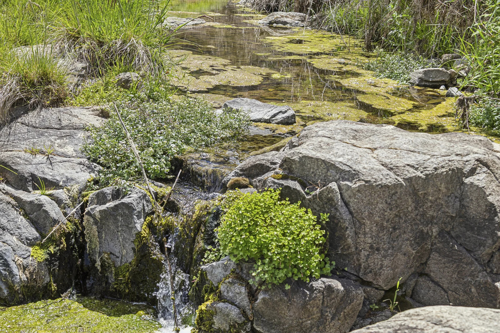 Additional image 10 of Lot 1/414 Horseshoe Rd, Mullion NSW 2582