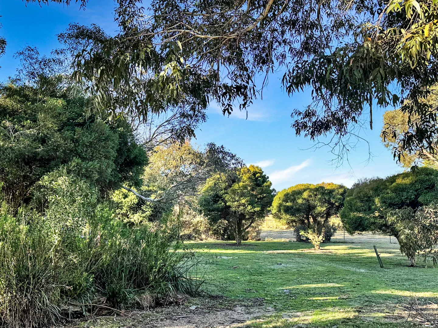 Additional image 28 of 5 Long Hill Place, St Helens TAS 7216