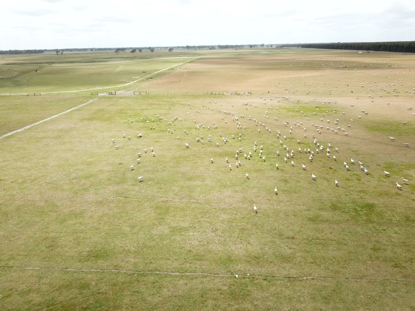 Additional image 5 of 820 Border Road, Strathdownie VIC 3312