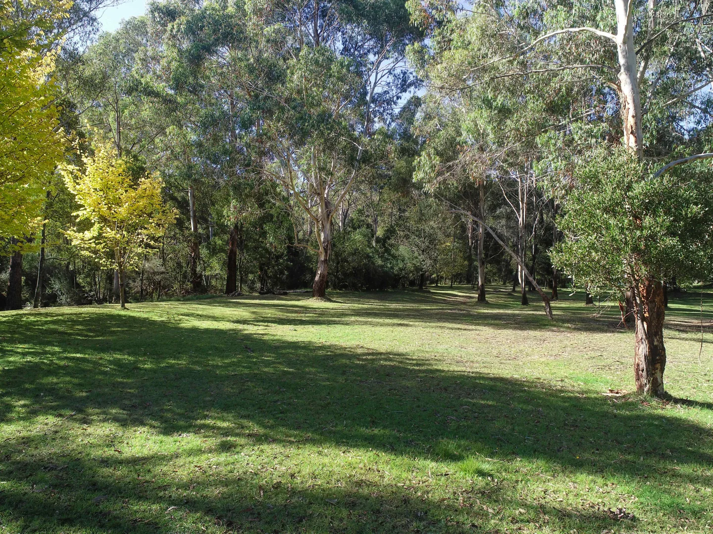 Additional image 21 of 2633 Mt Buller Road, Merrijig VIC 3723