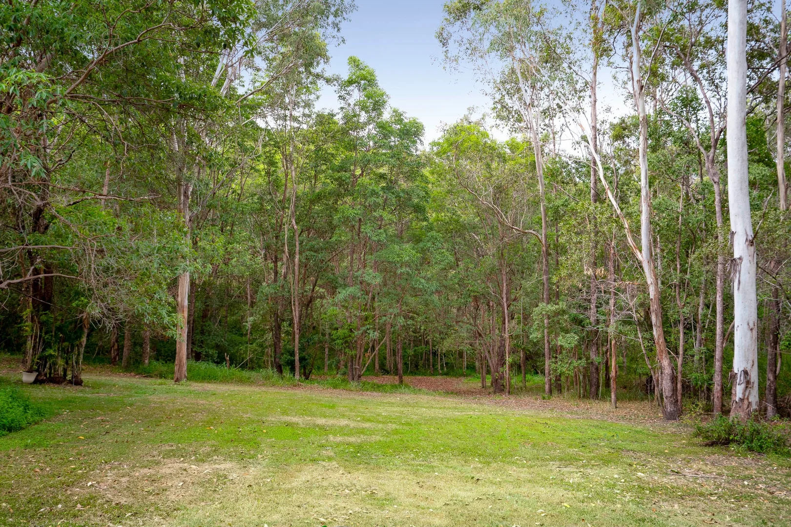 Additional image 10 of 55 Allen Road, Bunya QLD 4055