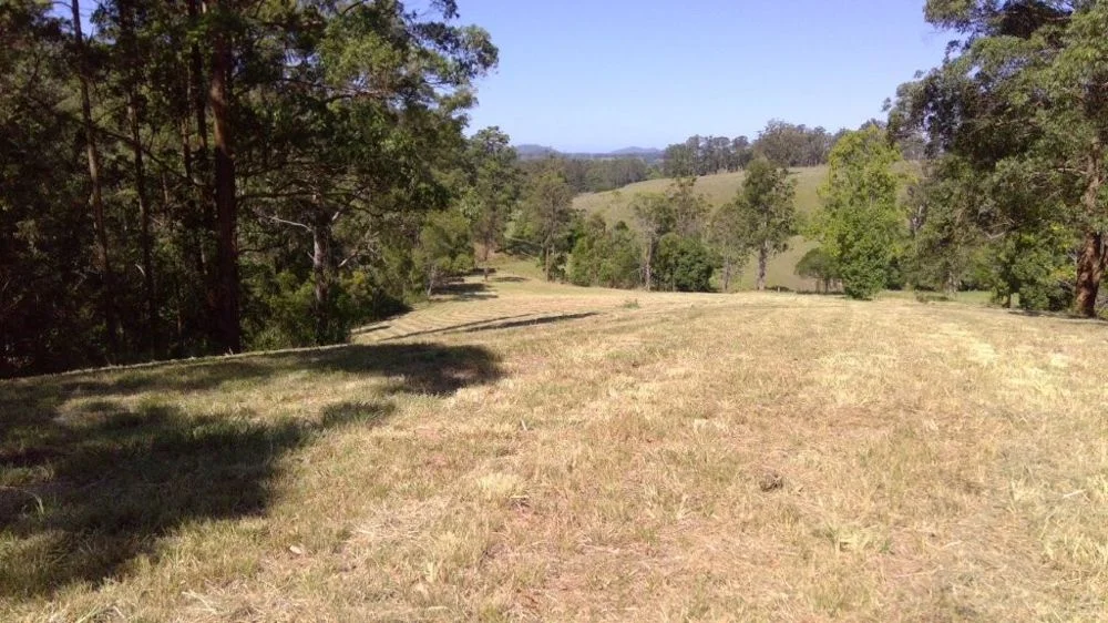 Additional image 4 of 622A Simpson Ridge Road, South Arm NSW 2449