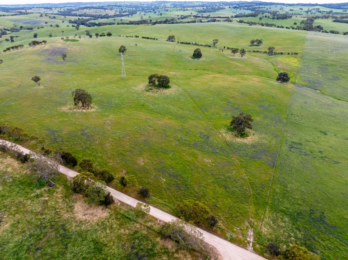 Additional image 14 of 312 Collins Road, Tungkillo SA 5236