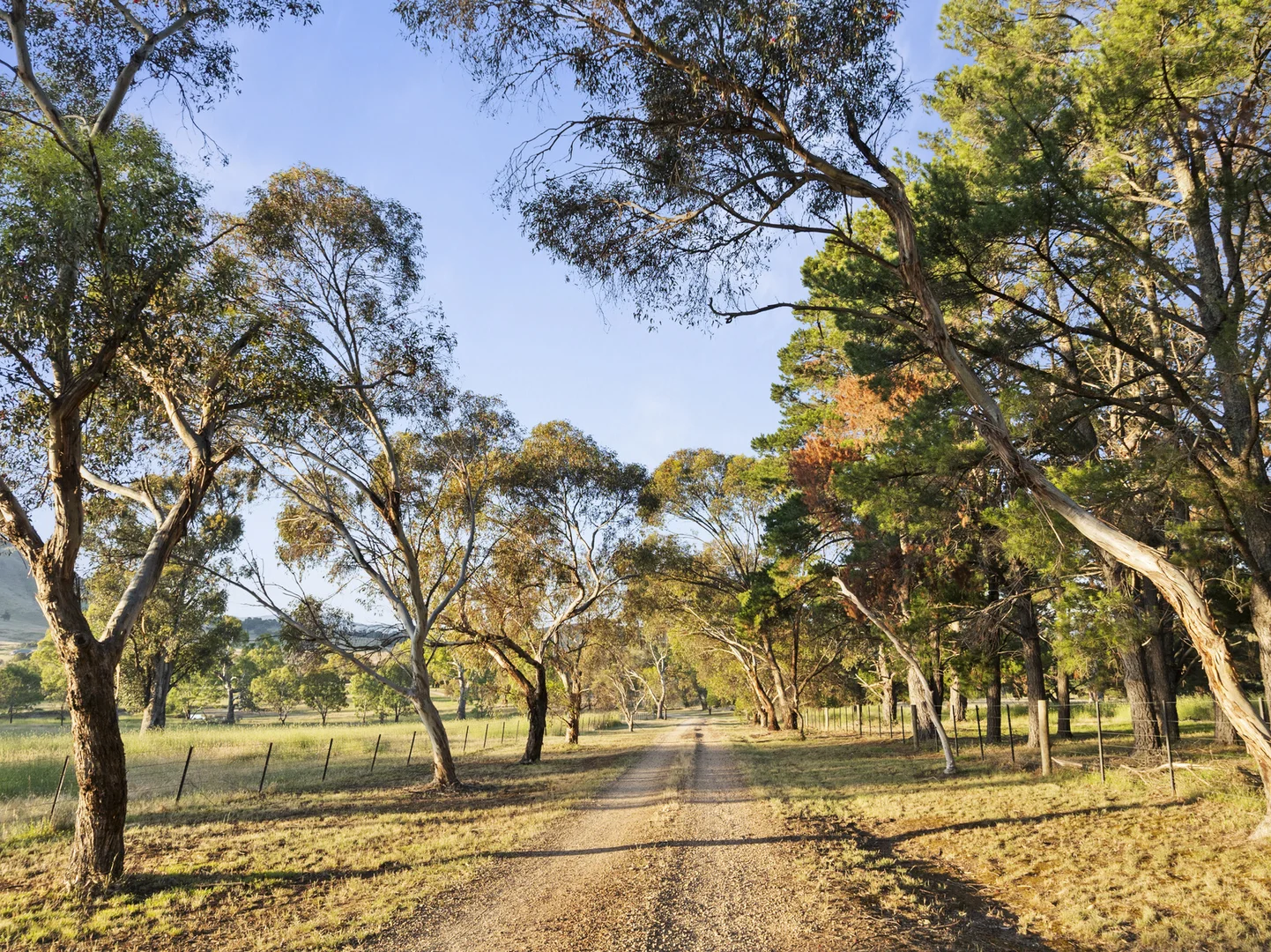 Additional image 20 of 454 Howes Creek Road, Mansfield VIC 3722
