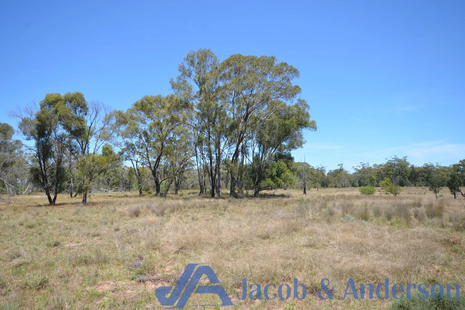 Additional image 5 of Baan Baa NSW 2390